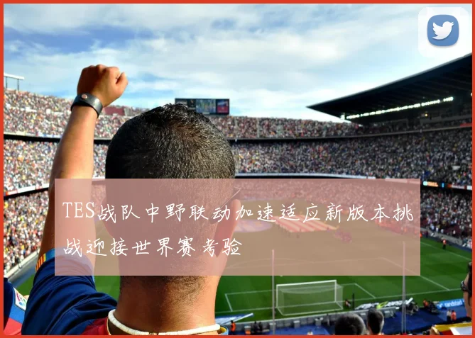 TES战队中野联动加速适应新版本挑战迎接世界赛考验